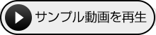 サンプル動画を再生